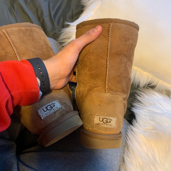 Chestnut ugg boots - Picture 4 of 5